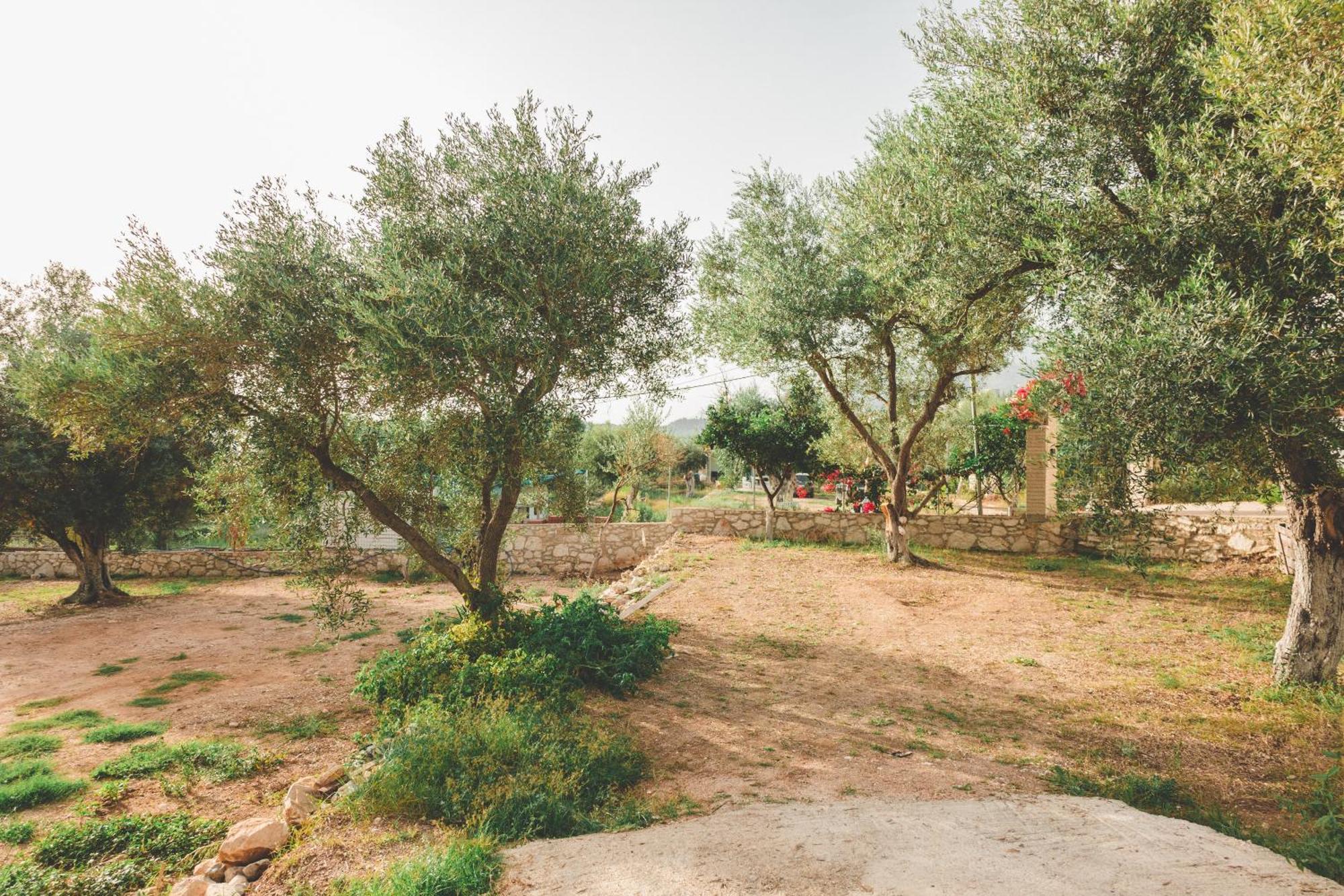 Olive Camping Himare Exteriör bild