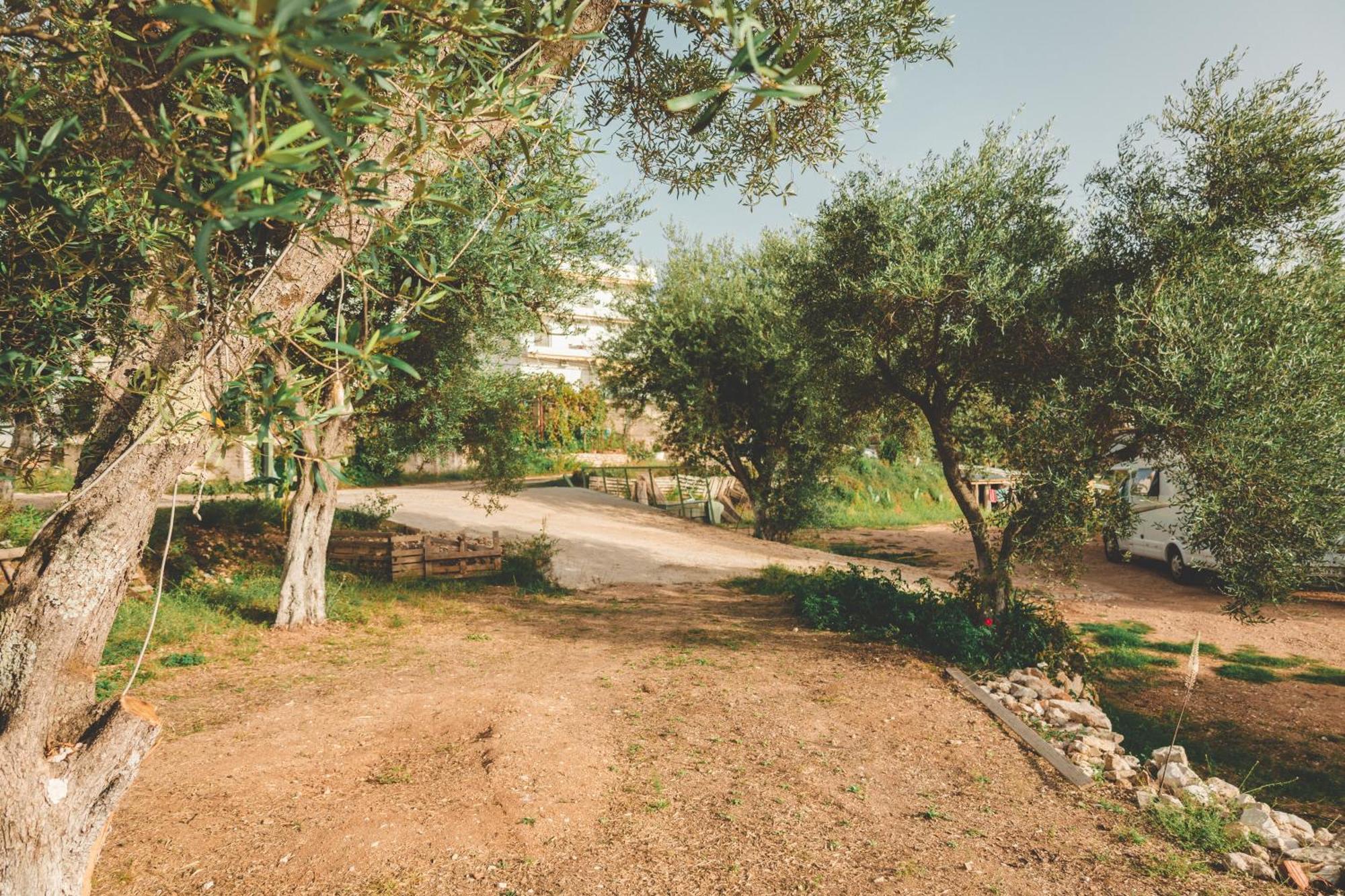 Olive Camping Himare Exteriör bild