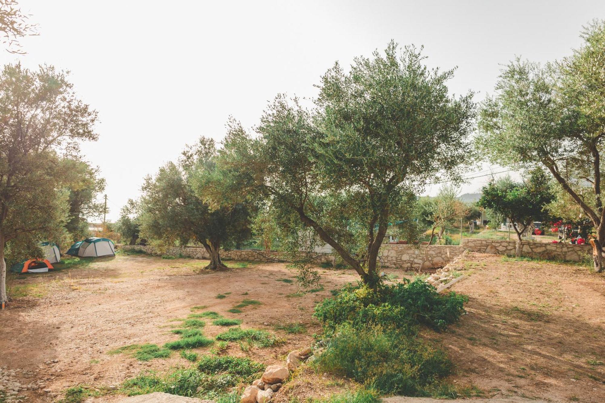 Olive Camping Himare Exteriör bild