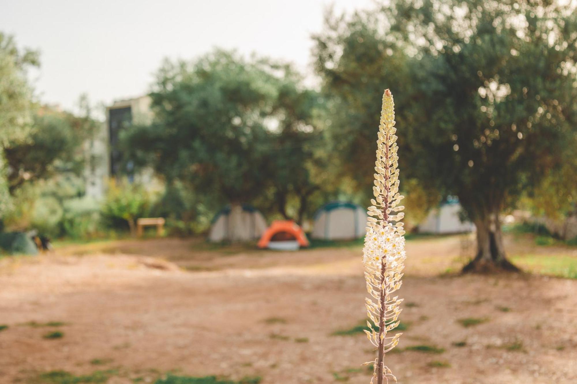 Olive Camping Himare Exteriör bild